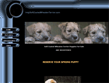 Tablet Screenshot of indysoftcoatedwheatenterrier.com
